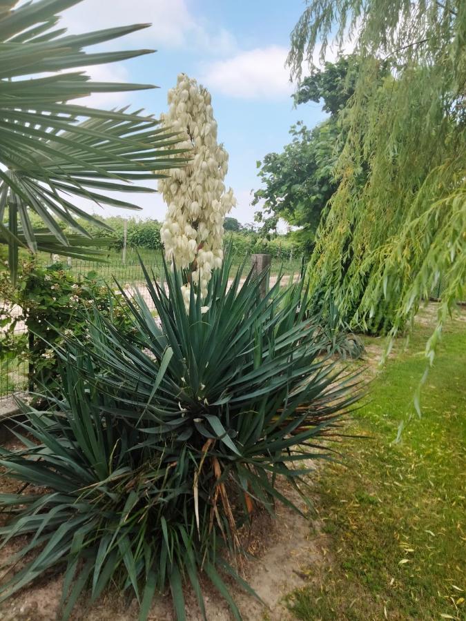 Bed & Breakfast Antico Borgo Leone *